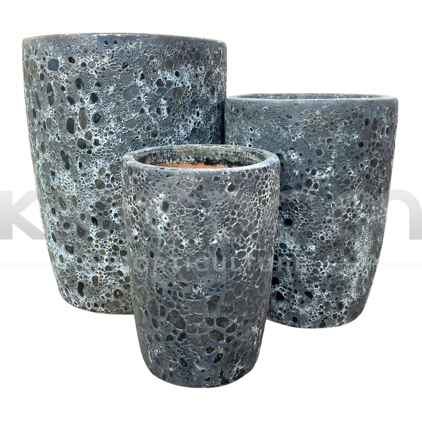 Ancient Snakeskin Crucible Pot | Black Kingdom Horticulture
