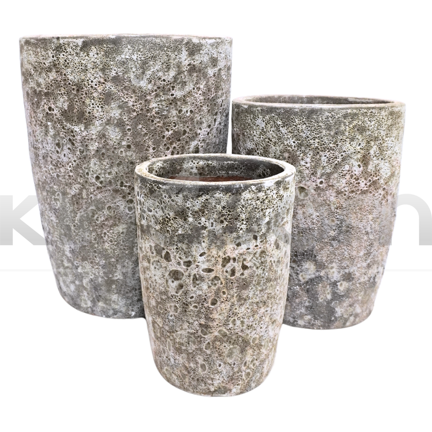Ancient Snakeskin Crucible Pot | Grey Kingdom Horticulture
