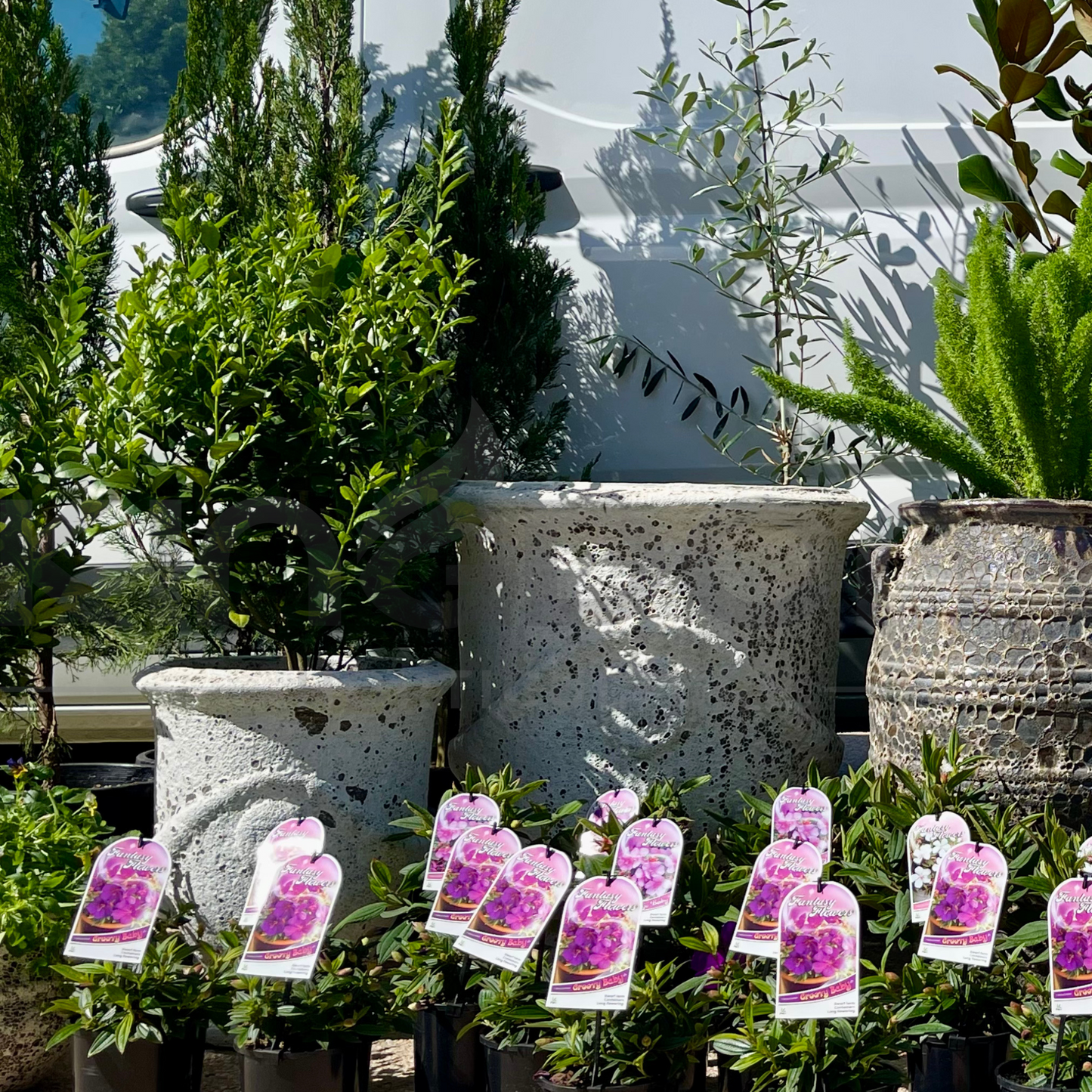 Ancient Style Anduze Urn Garden Pots | 2 Sizes Kingdom Horticulture