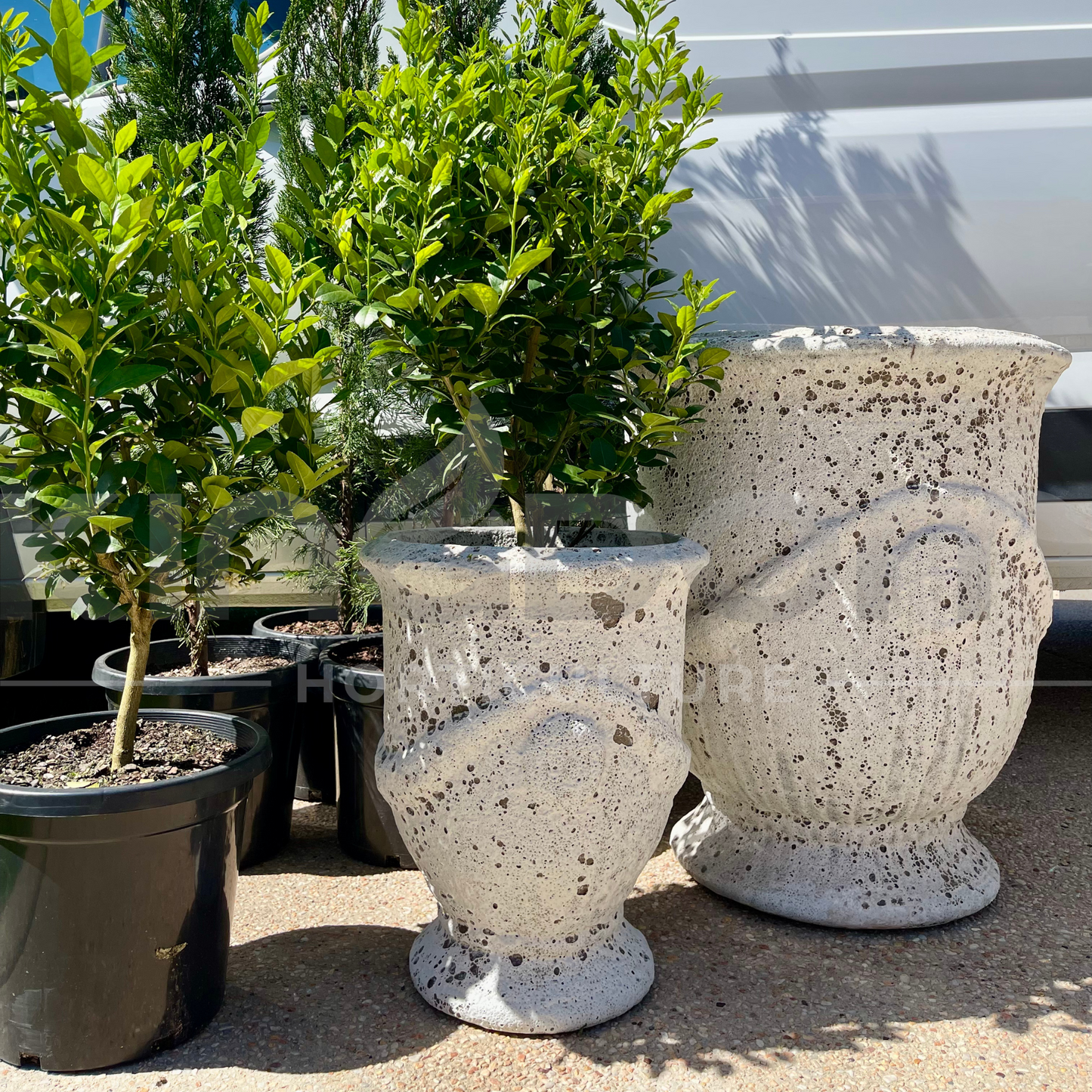 Ancient Style Anduze Urn Garden Pots | 2 Sizes Kingdom Horticulture