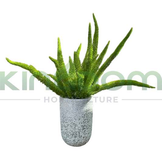 Kingdom Horticulture