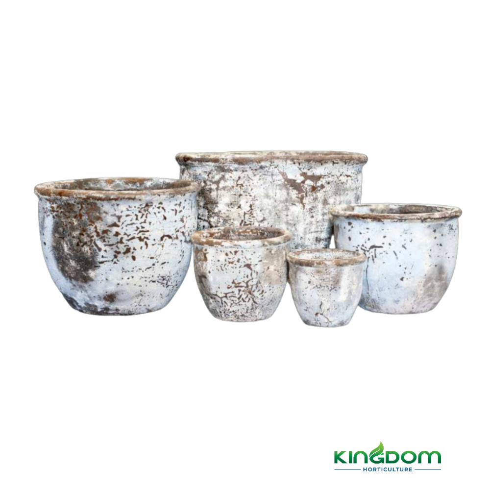 Ancient Cana Cocoa Pots | 5 Sizes Kingdom Horticulture