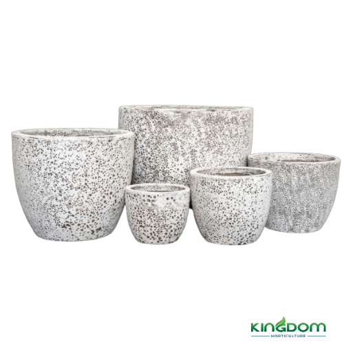 Ancient Egg U Planter Pot | Multiple Sizes - Kingdom Horticulture Kingdom Horticulture