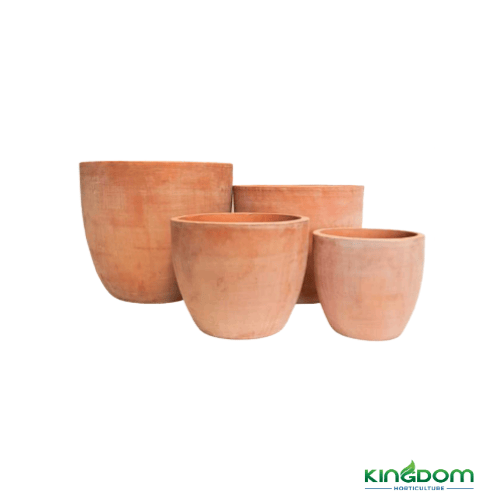 Terracotta Egg Pots | 4 Sizes - Kingdom Horticulture Kingdom Horticulture