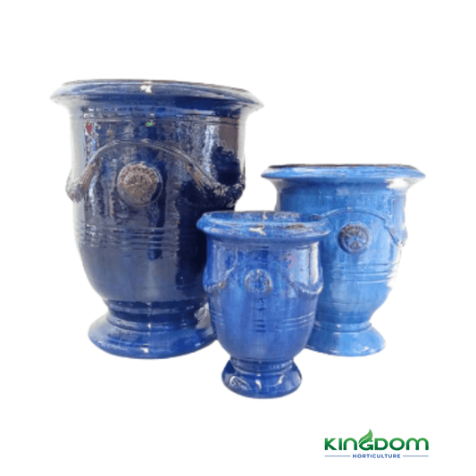 Glazed Anduze Urn | Royal Blue | 4 Options - Kingdom Horticulture Kingdom Horticulture