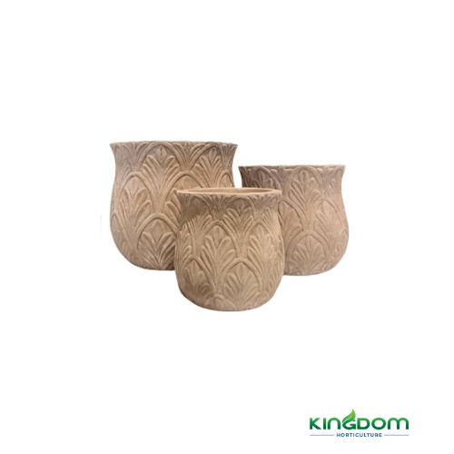 Terracotta Paloma Pots | 3 Sizes - Kingdom Horticulture Kingdom Horticulture