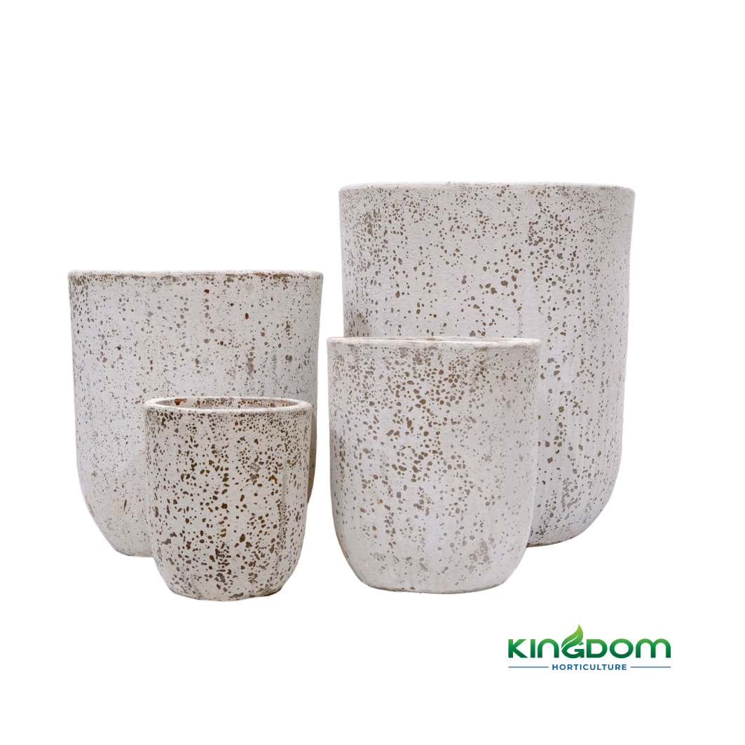 Ancient U Planter Pot | 4 Sizes Kingdom Horticulture