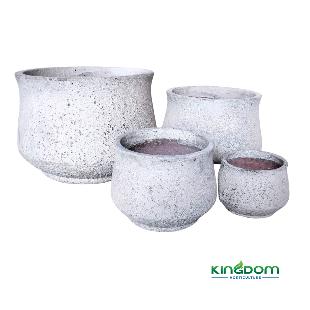 Ancient Salona Low Planter Pot | Set of 4 Kingdom Horticulture