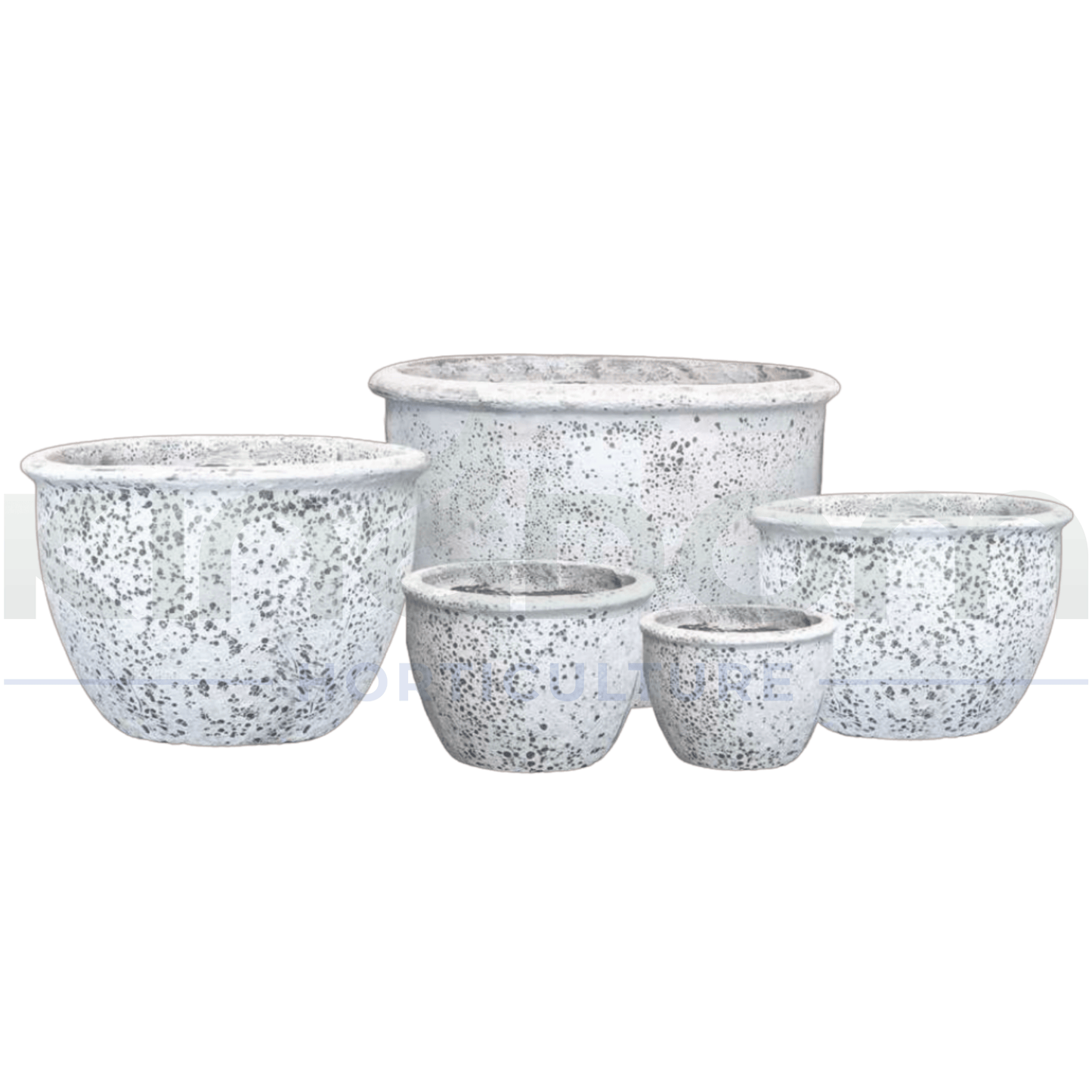 Ancient Cana Pot | 5 Sizes - Kingdom Horticulture Kingdom Horticulture