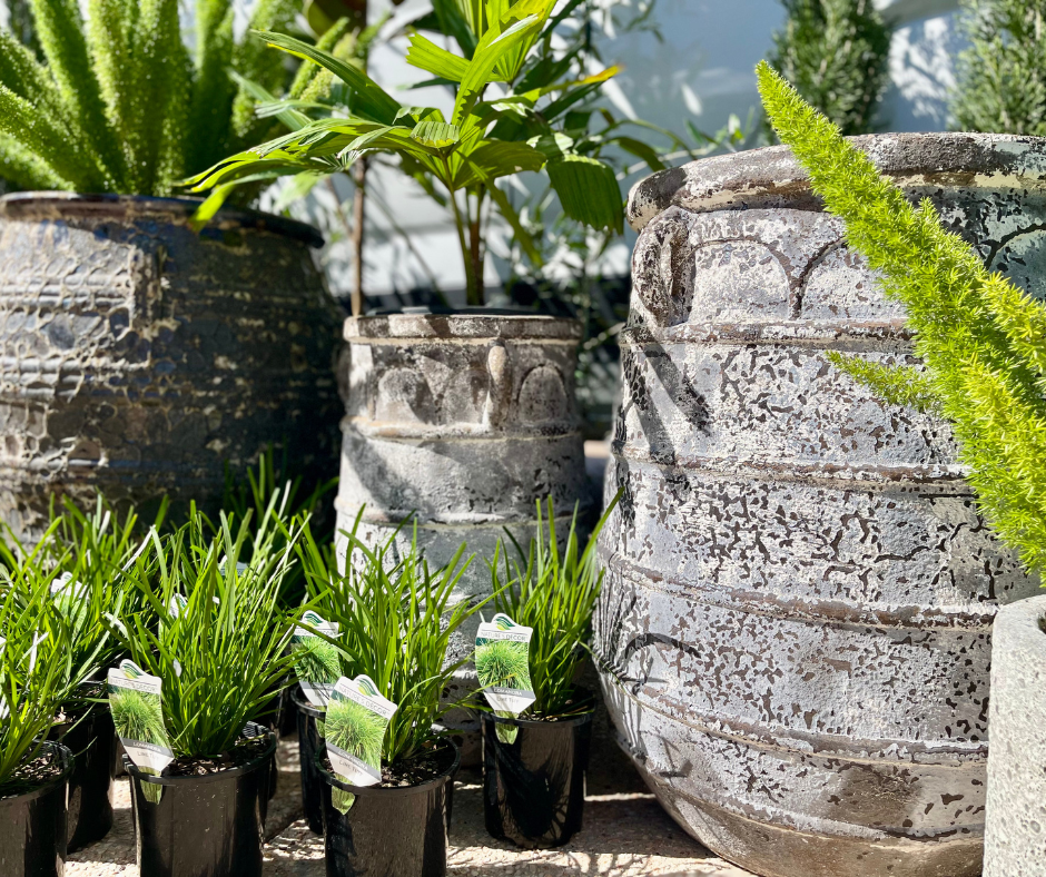 Kingdom Horticulture