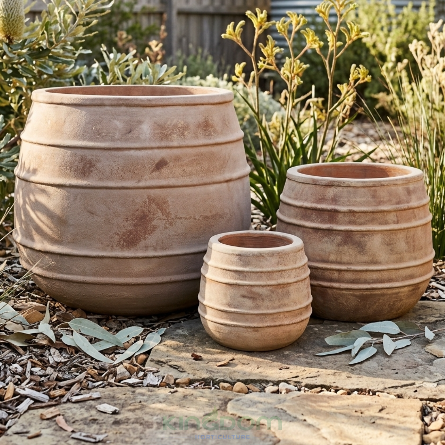 Outback Terracotta Belly Squat Garden Pots Kingdom Horticulture
