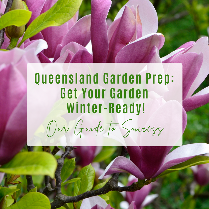 Queensland Garden Prep: Get Your Garden Winter-Ready!