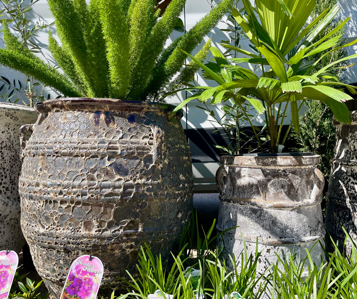 Shop All Garden Pots & Urns for Brisbane & Sunshine Coast