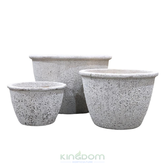 Ancient Cana Pot Planters Kingdom Horticulture