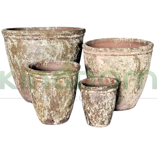 Ancient Cassa Garden Pots | Khaki Kingdom Horticulture