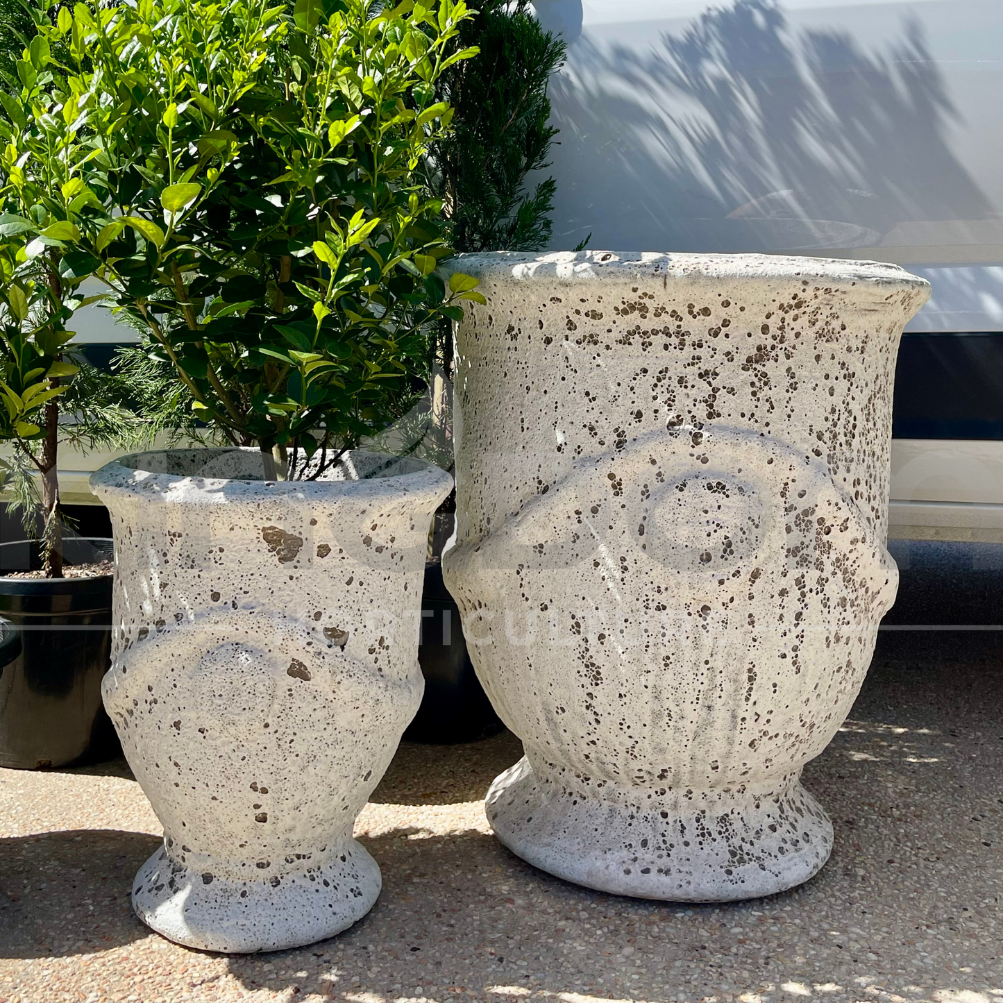 Ancient Style Anduze Urn Garden Pots | 2 Sizes Kingdom Horticulture