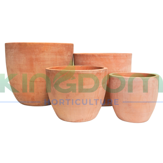 Ancient Terracotta Egg Pots | 4 Sizes Kingdom Horticulture