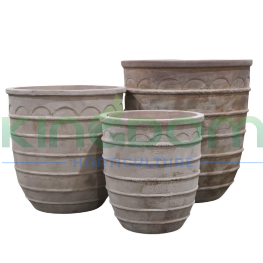 Ancient Terracotta Diogenes Pots | 3 Sizes Kingdom Horticulture