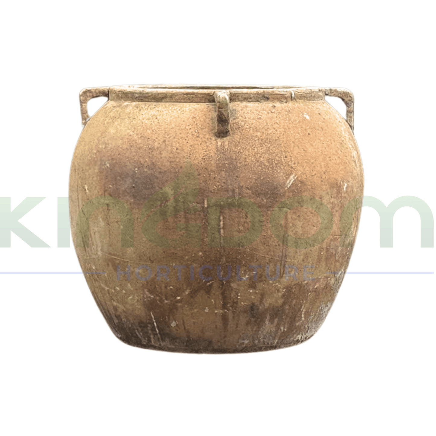 Ancient Titanic Linos Urn Pot - Kingdom Horticulture Kingdom Horticulture