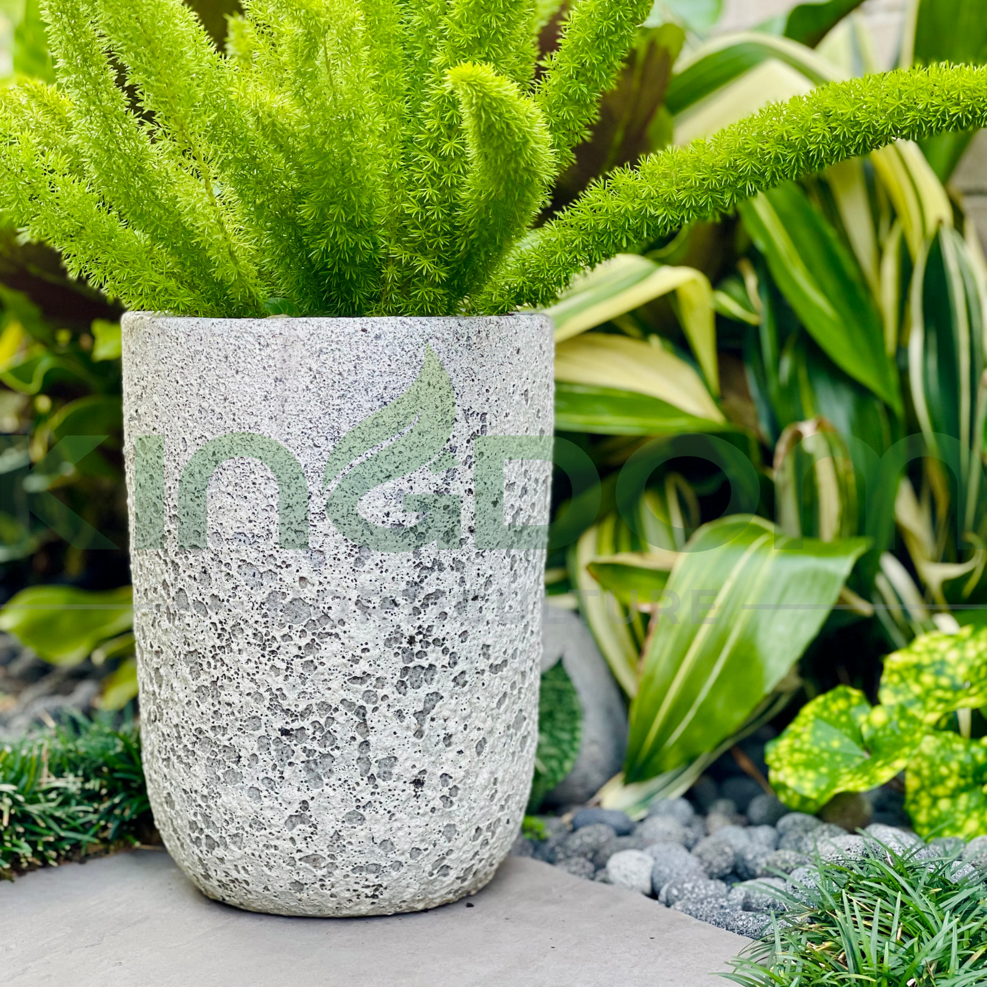 Kingdom Horticulture
