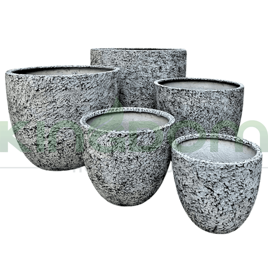 Atlanta's Textured Canna Fibreglass Garden Pots | White - Kingdom Horticulture Kingdom Horticulture