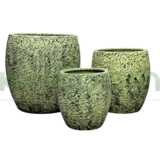 Atlanta's Textured Fibreglass Garden Pots | Yellow/Green Tones - Kingdom Horticulture Kingdom Horticulture