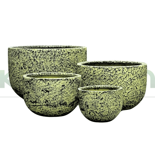 Atlanta's Textured Low Fibreglass Garden Pots Yellow/Green - Kingdom Horticulture Kingdom Horticulture
