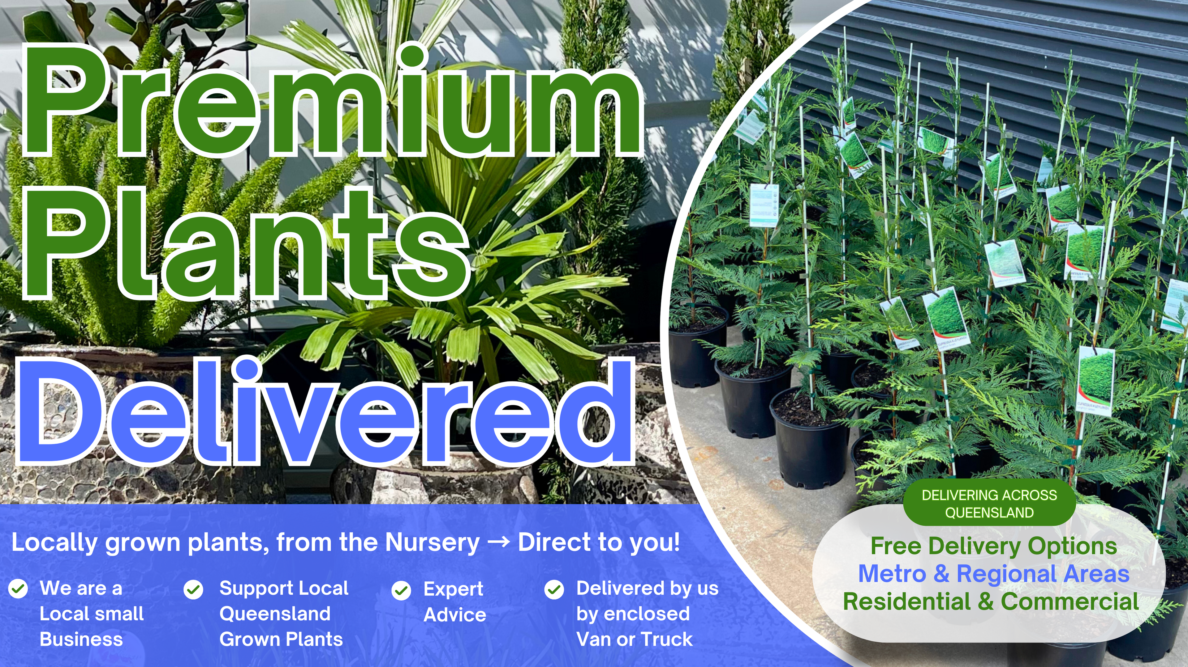 Kingdom Horticulture