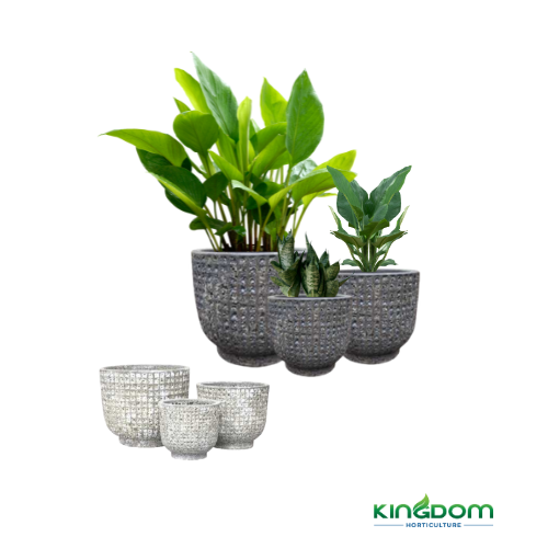 Ancient Mesh Pots | 3 Sizes Kingdom Horticulture