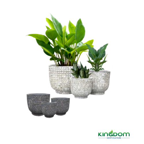 Kingdom Horticulture
