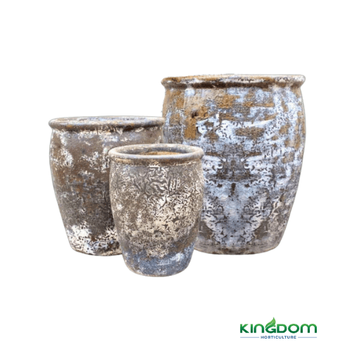 Ancient Athens Pot | Two Colours & Styles | 3 Sizes - Kingdom Horticulture