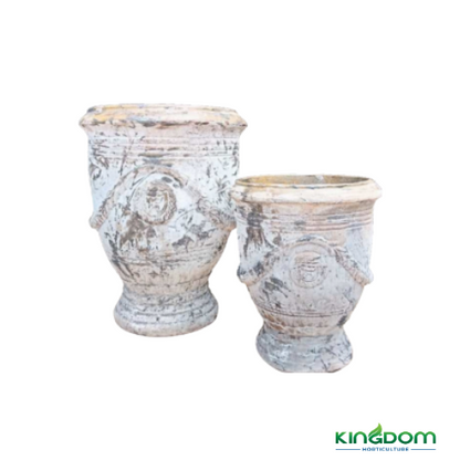 Ancient Anduze Urn Pot | Set of Two