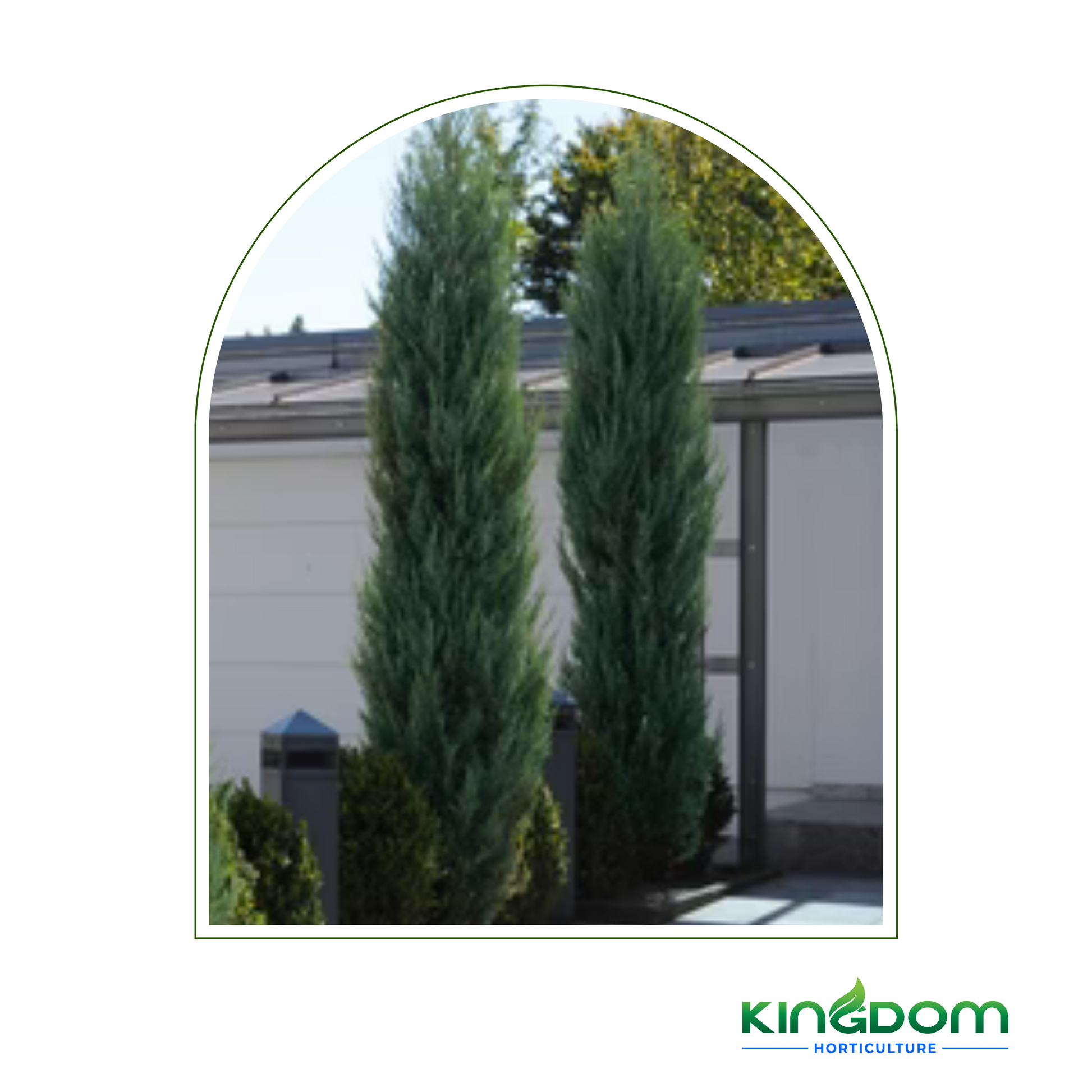 Kingdom Horticulture