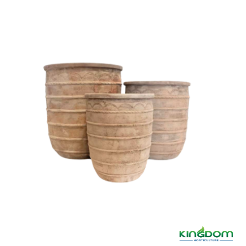 Terracotta Diogenes Pots | 3 Sizes Kingdom Horticulture