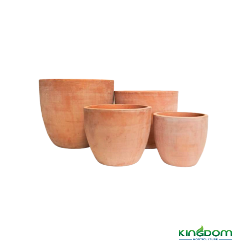 Terracotta Egg Pots | 4 Sizes Kingdom Horticulture