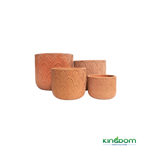 Terracotta Paloma Oval | 4 Sizes - Kingdom Horticulture Kingdom Horticulture