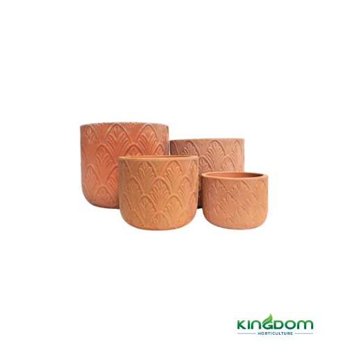 Terracotta Paloma Oval | 4 Sizes Kingdom Horticulture