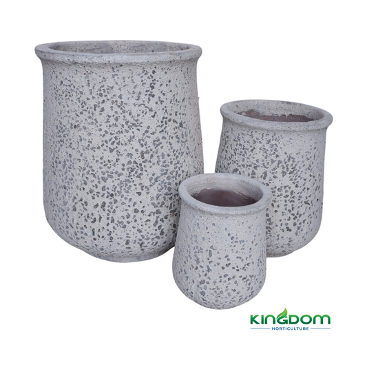 Ancient Ithaca Pot | Set of 3 Kingdom Horticulture