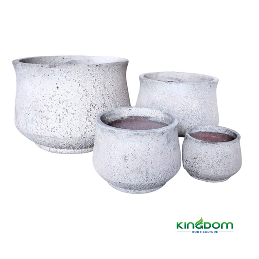 Ancient Salona Low Planter | Set of 4 Kingdom Horticulture