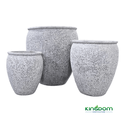 Ancient Athens Pot | Set of 3 - Kingdom Horticulture