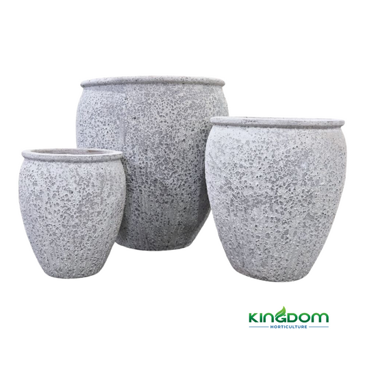 Ancient Athens Pot | Set of 3 Kingdom Horticulture