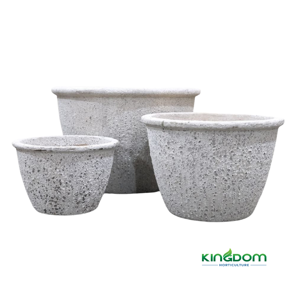 Ancient Cana Pot | Set of 3 Kingdom Horticulture