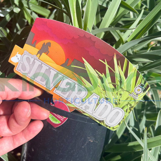 Kingdom Horticulture