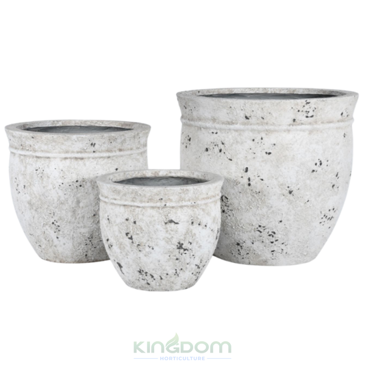 Fossil Maderia Garden Pot - Light Weight | Antique Atlantic Kingdom Horticulture