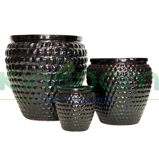 Helena Glazed Garden Pots | Black Kingdom Horticulture