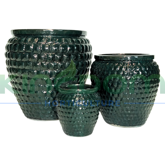 Helena Glazed Garden Pots | Dark Green Kingdom Horticulture