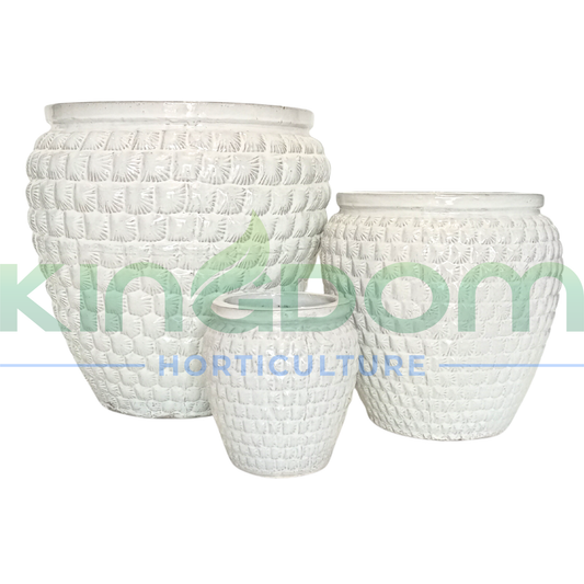 Helena Glazed Garden Pots | White Kingdom Horticulture