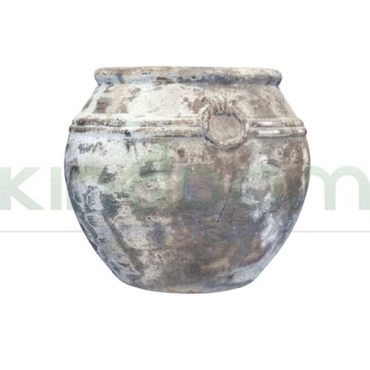 Ancient Cocoa Ponticus Garden Pot Urn - Kingdom Horticulture Kingdom Horticulture