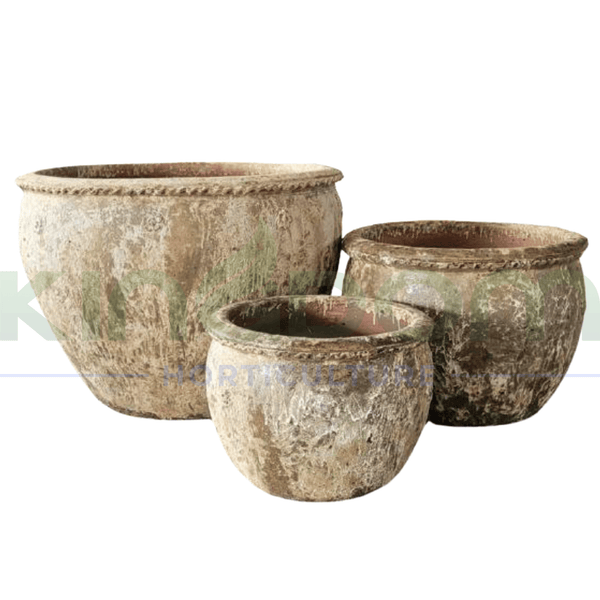 Ancient Collingwood Garden Pot | Khaki - Kingdom Horticulture