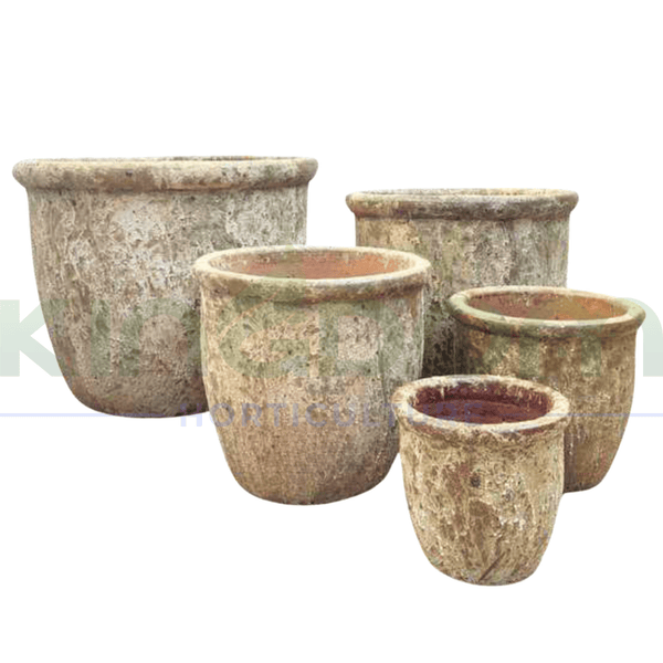 Ancient Canna Garden Pot | Khaki - Kingdom Horticulture